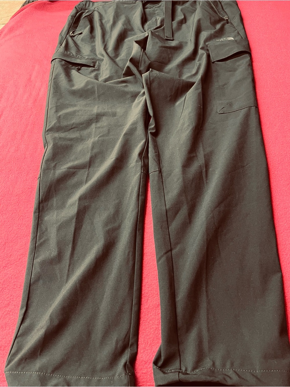 The North Face Black Women's Cargo Pants